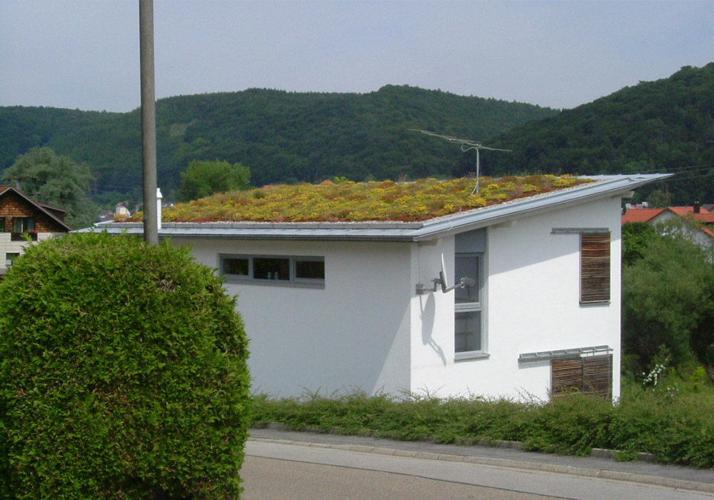 Dachbegrünung auf einem kleinen Einfamilienhaus mit Flachdach.