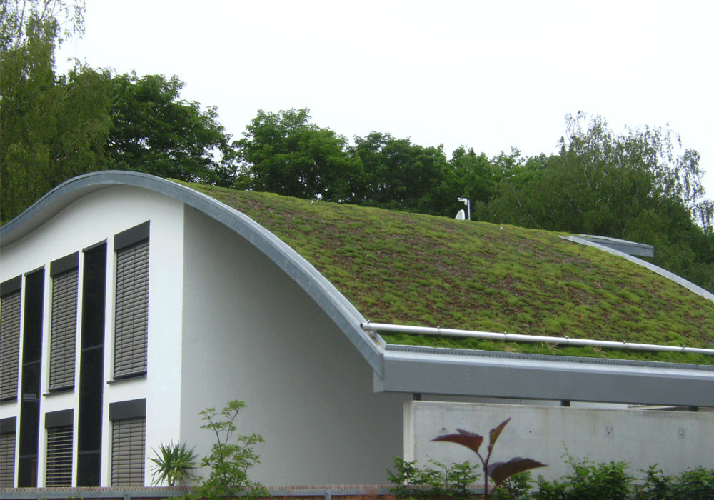 Dachbegrünung am Einfamilienhaus, Hausdach in geschwungener Form.